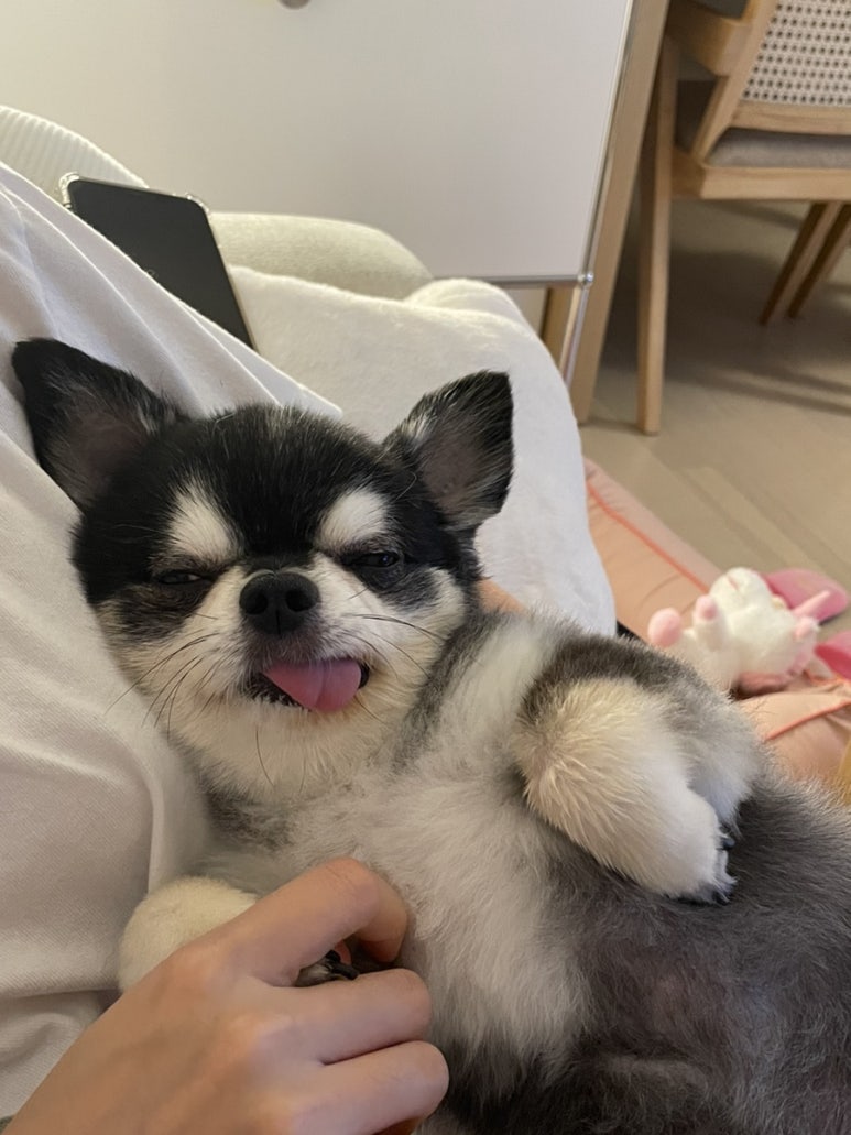 테판 클럽 이미지