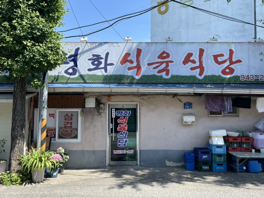 신비반점 이미지