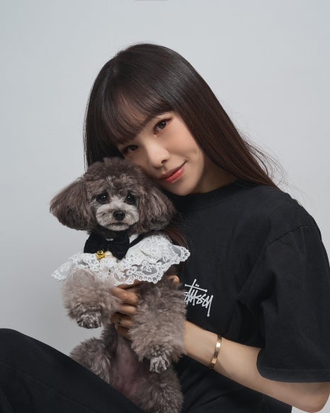 스튜디오집 이미지