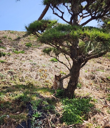 백운떡집 이미지