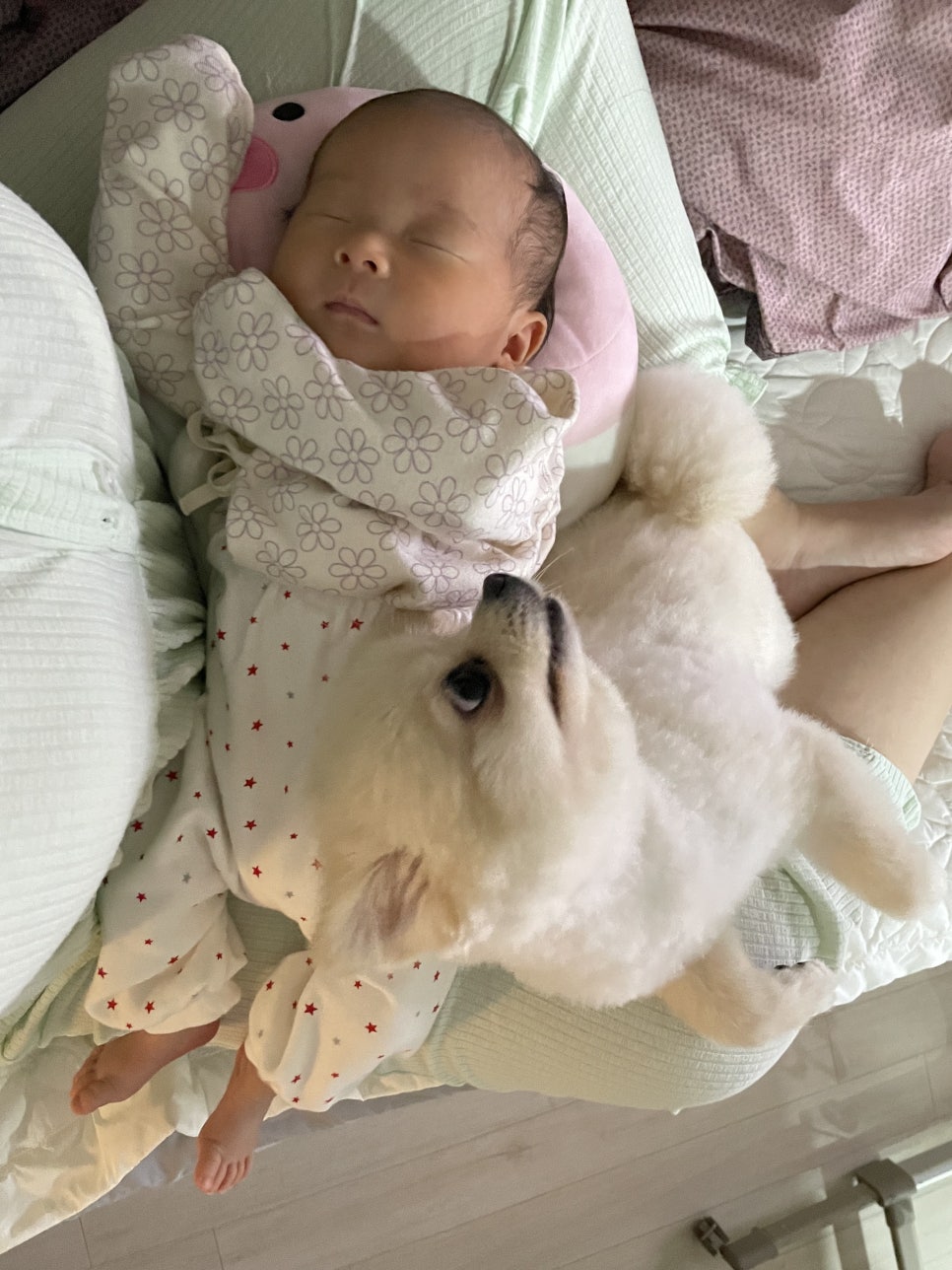 퀸즈산모케어 이미지