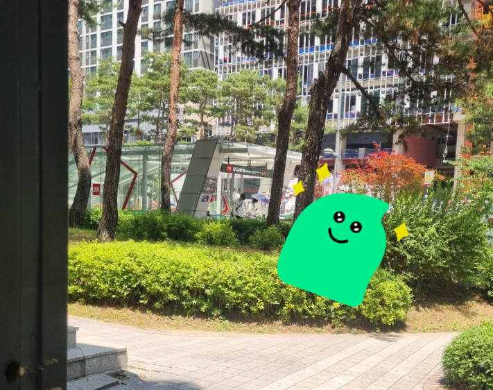 개구리찬방 이미지