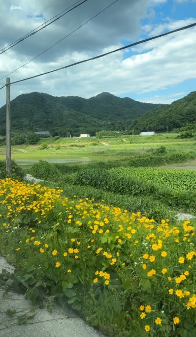 상월다방 이미지