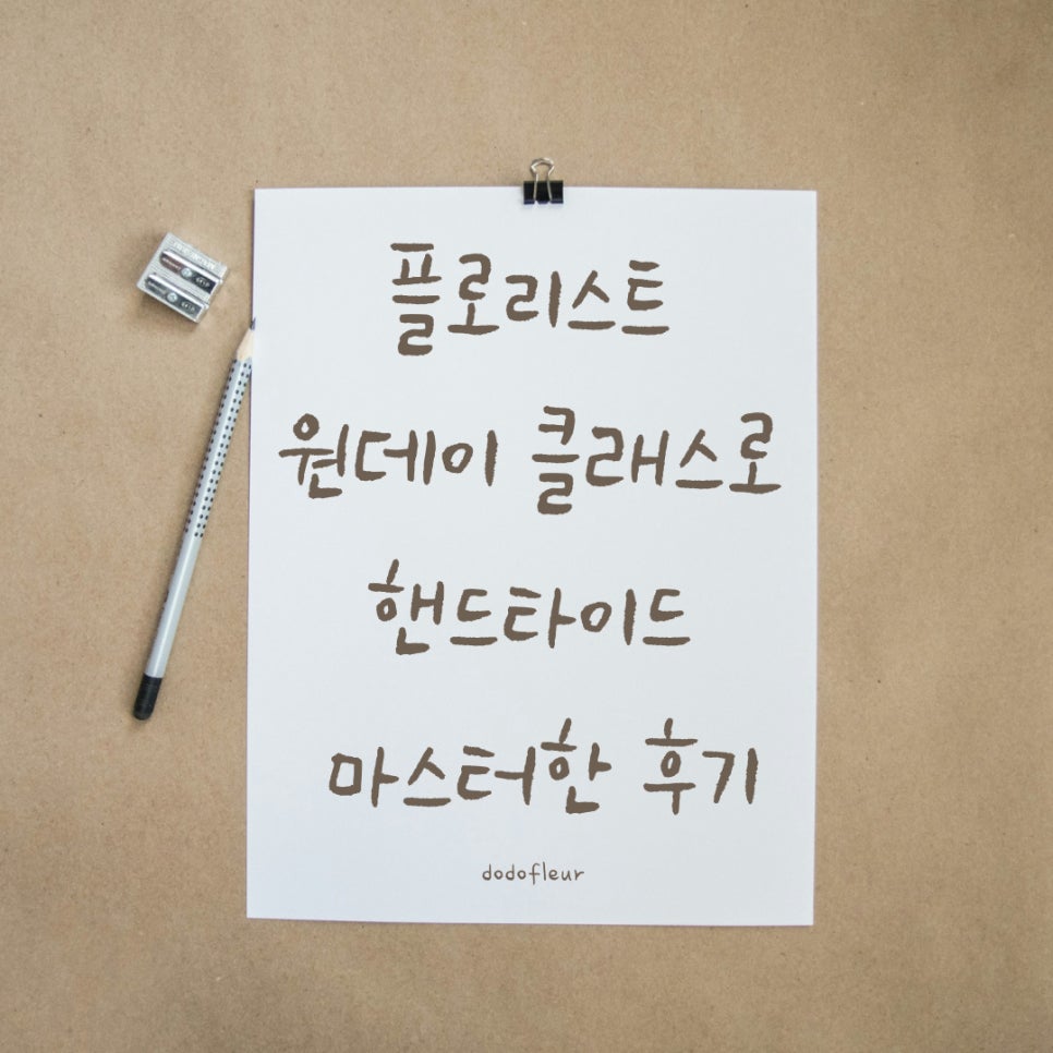 도도플레르 이미지