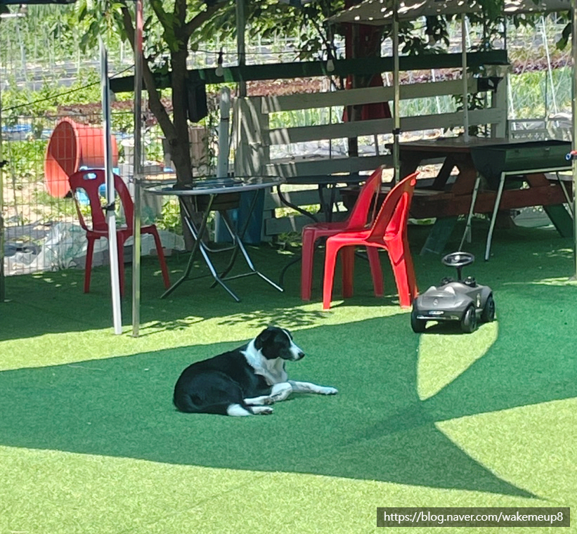 꾸어바 이미지