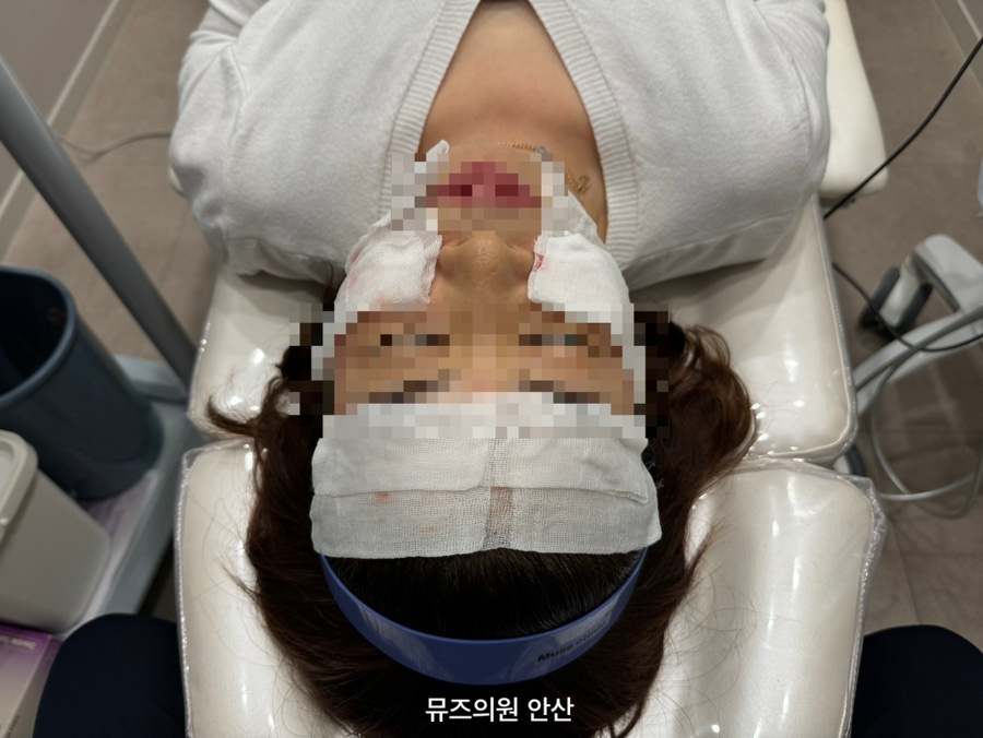 뮤즈의원 이미지