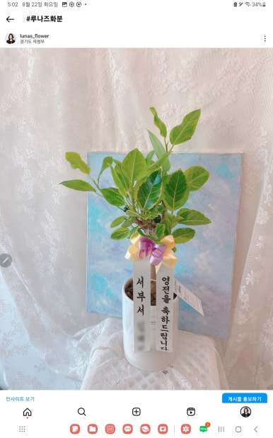 루나즈플라워 이미지