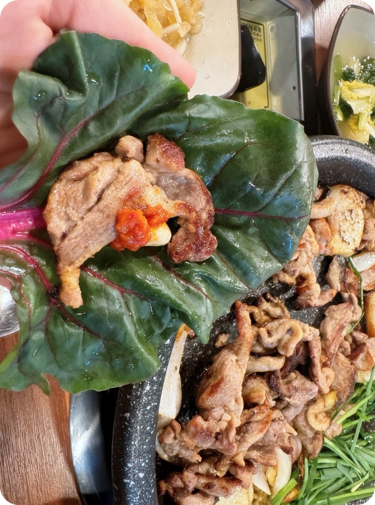 토성오리 이미지