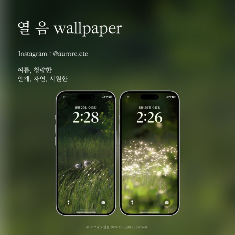 오브니ofni 이미지