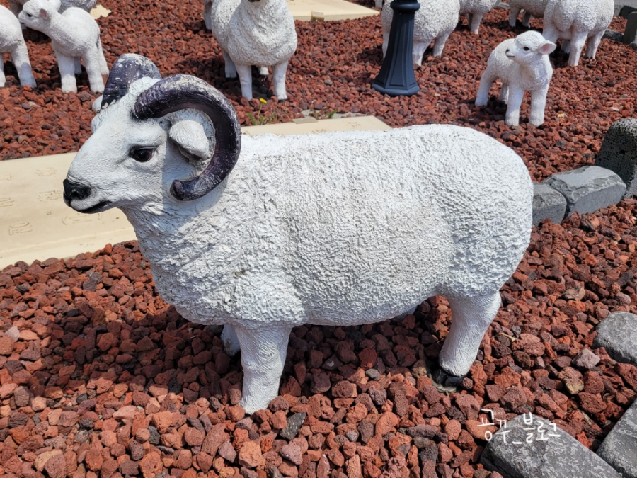 마운틴2152 이미지