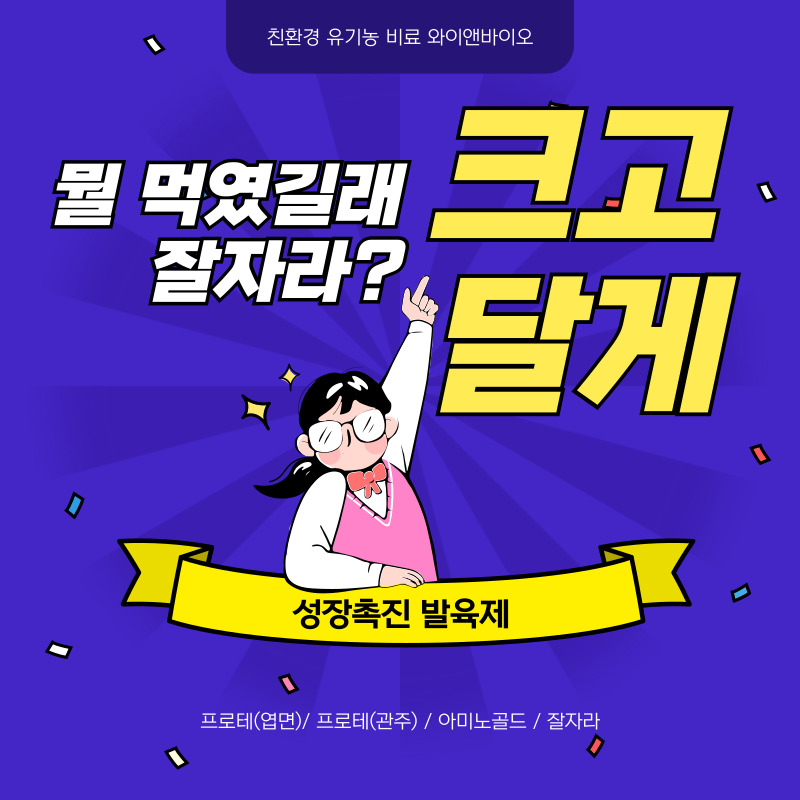 와이앤컨설팅 이미지