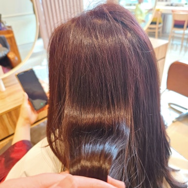 아코하롬헤어양주 이미지