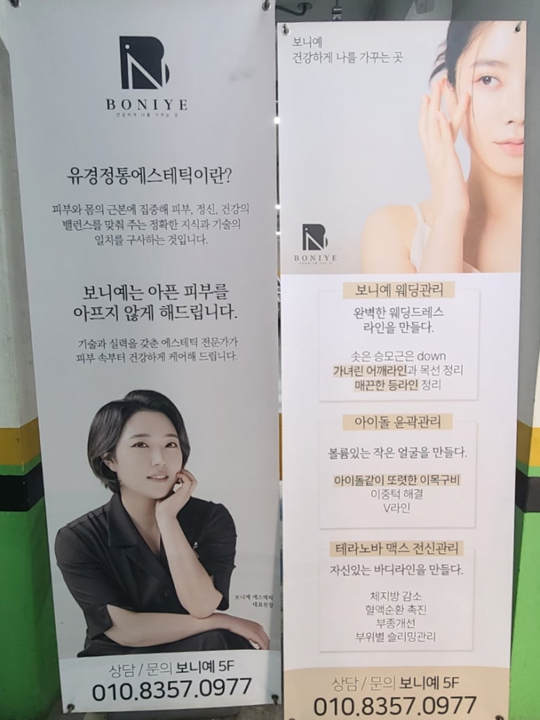 보니예 이미지