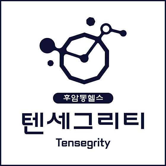 텐세그리티 이미지