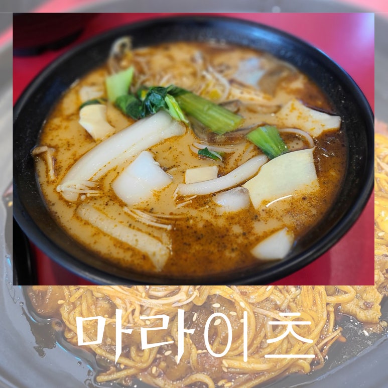 마라이츠 이미지