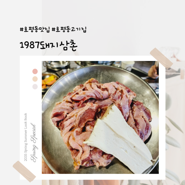 1987돼지삼촌 이미지