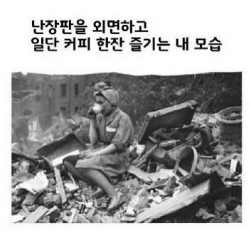 조아조아 이미지