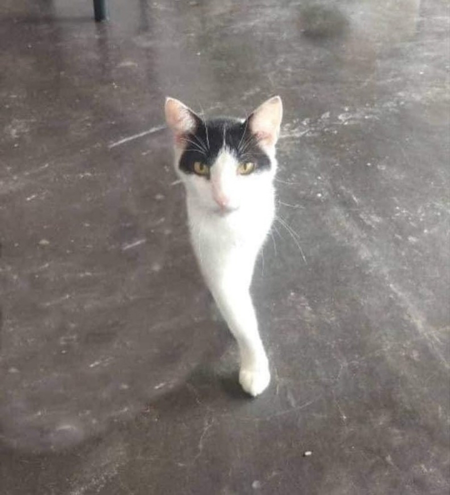 어기 이미지