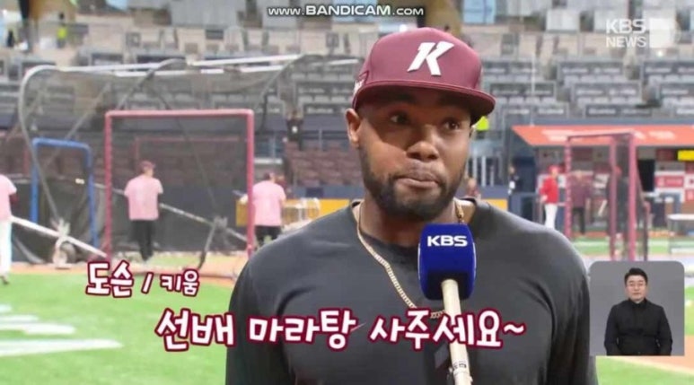 돼식가 이미지