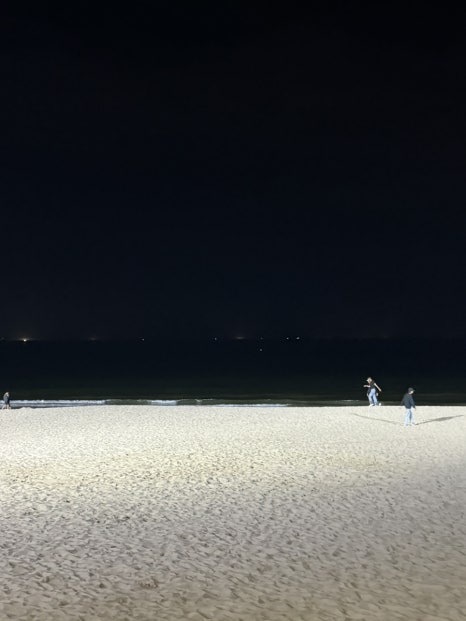 평안도족발 이미지