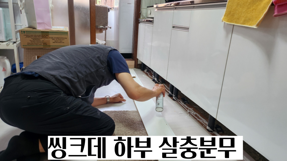도다닥 이미지