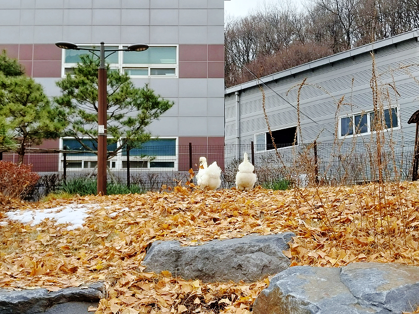 티엔에스디자인 이미지