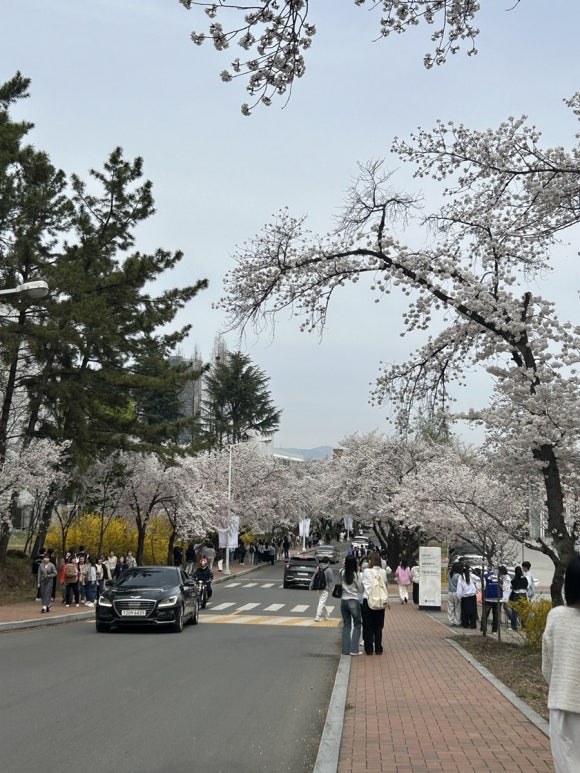 쥴리코스메틱 이미지