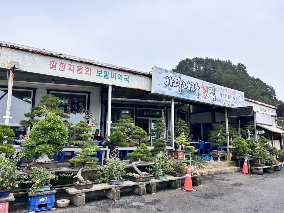 물소낭밧작은집 이미지