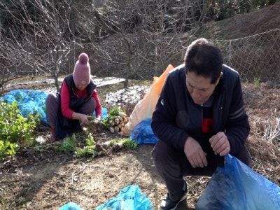 숙자네 이미지