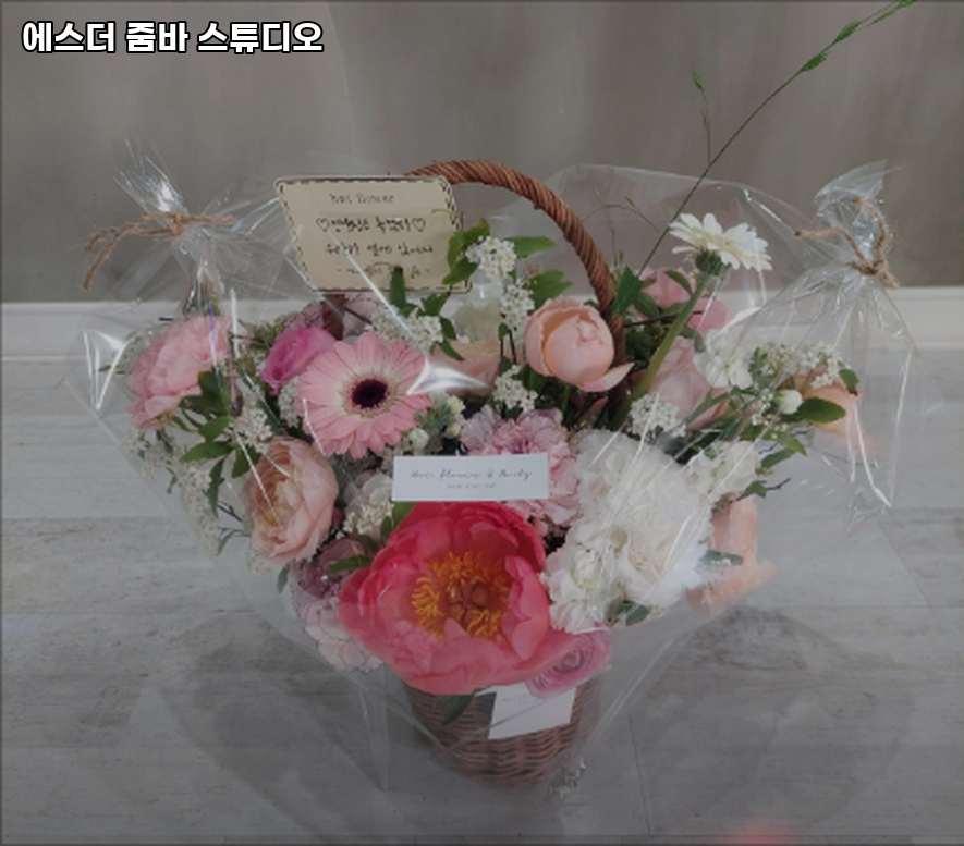 에스더줌바스튜디오 이미지