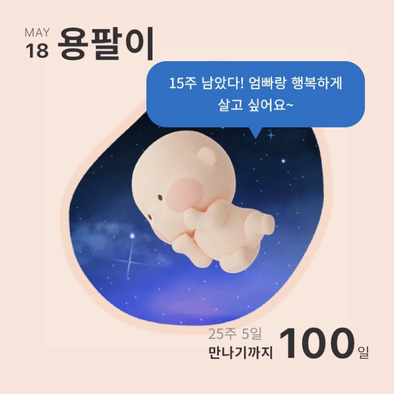 하이사이 이미지