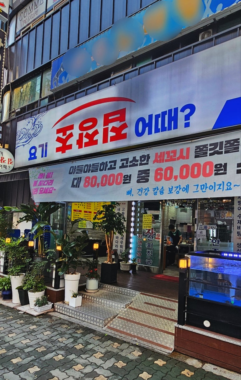 요기초장집어때 이미지