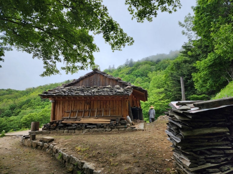 (주)담소 이미지