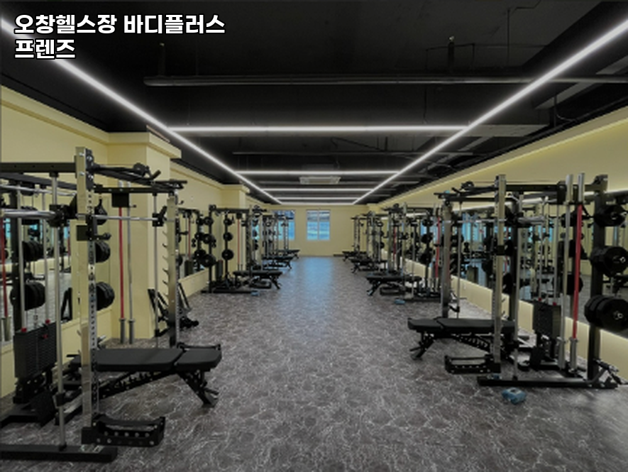 바디플러스프렌즈 이미지