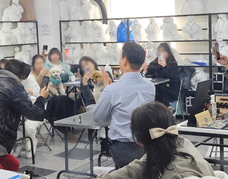 대전애견미용학원 이미지