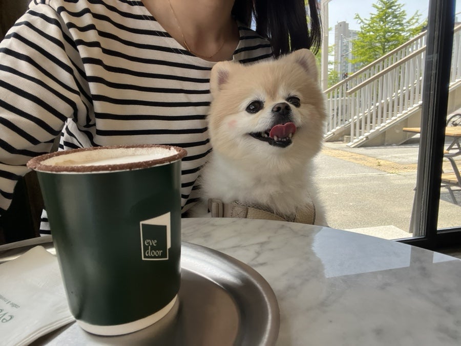 이브도어 이미지