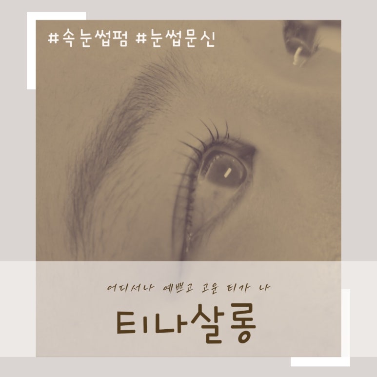 티나살롱 이미지