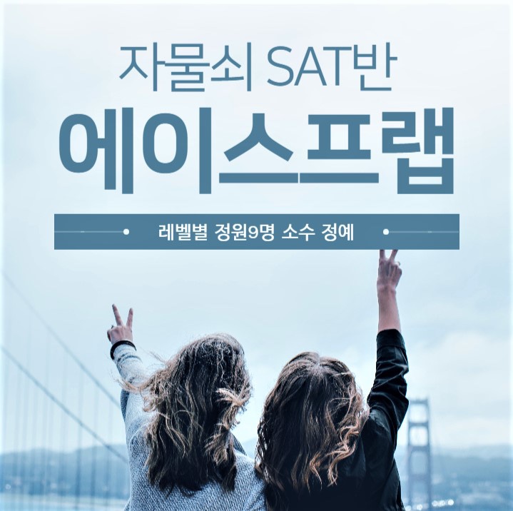 에이스라이팅 이미지