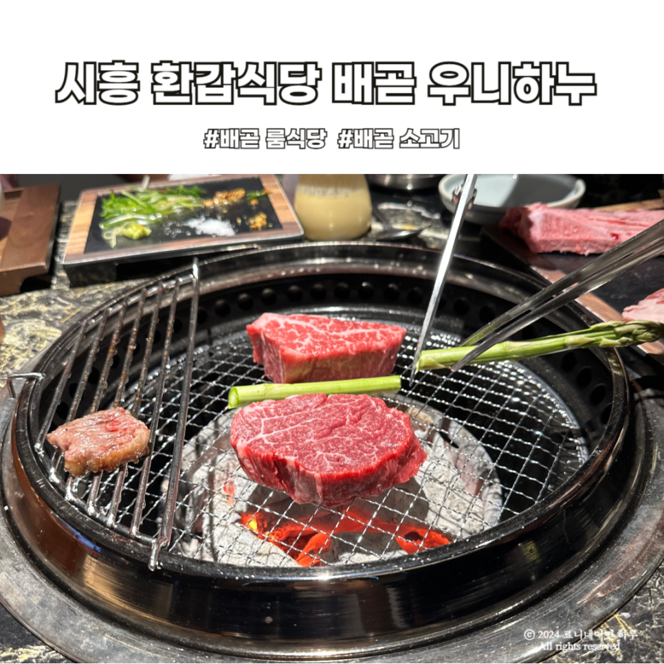 우니하누 이미지