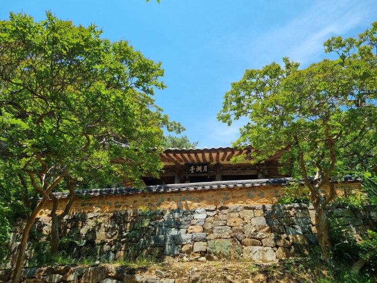 용연골 이미지