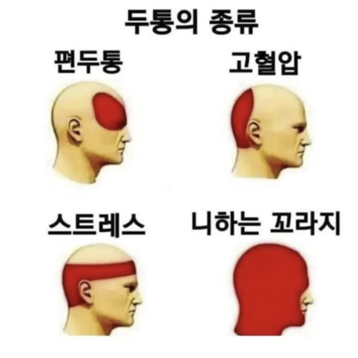 플라디오 이미지