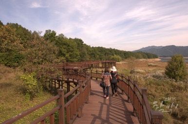 (주)리빙인터내셔널 이미지
