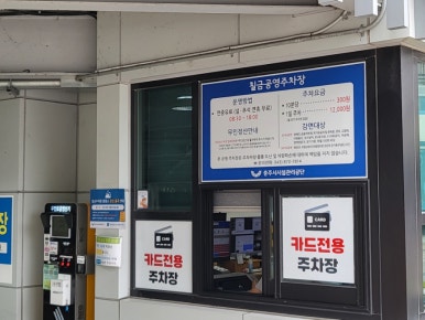 빈헤어비스 이미지