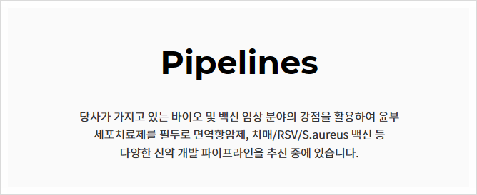 비엔씨네트워크 이미지