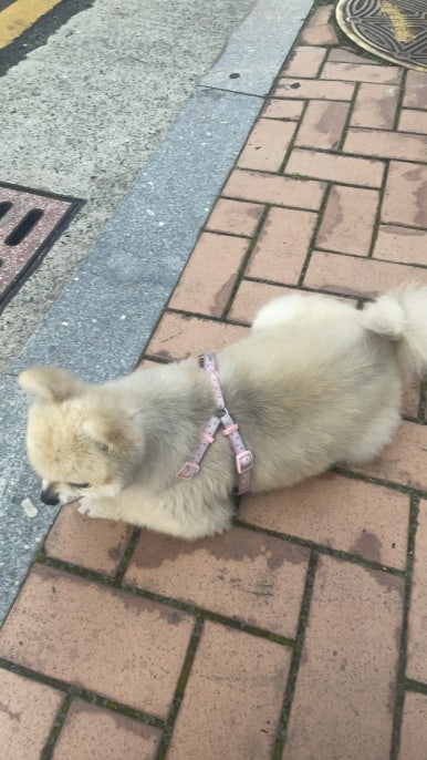 성도인쇄소 이미지