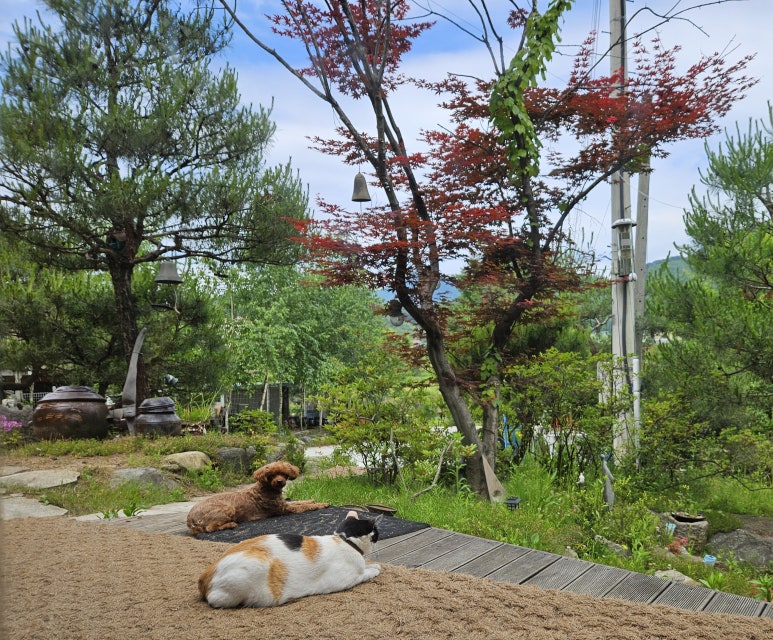 용담리70번지 이미지