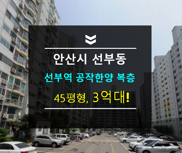 선부도로공원 이미지