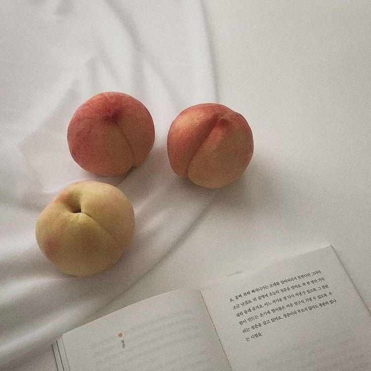 케이코 이미지