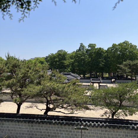 한옥김밥 이미지