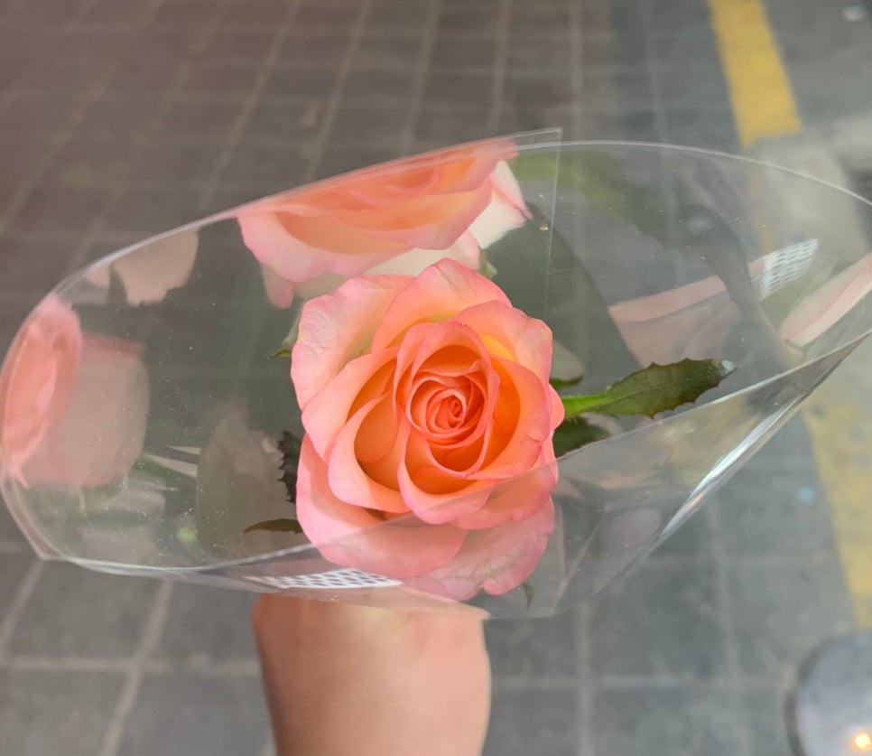 꽃노래타운 이미지